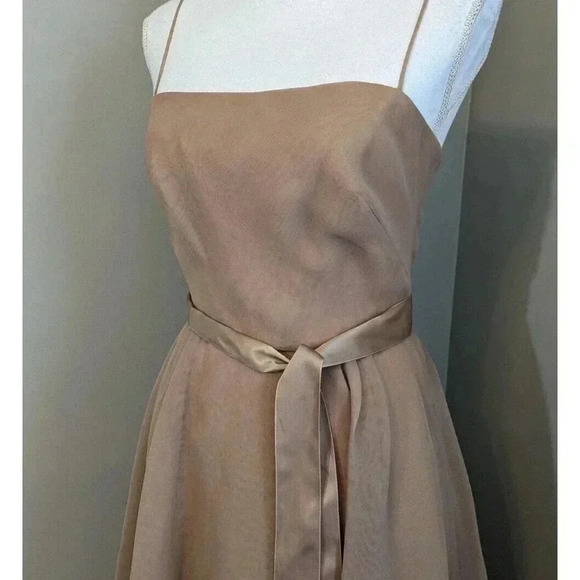 Vintage Lillie Rubin Light Brown Tan Mesh Ruffle Dress Coquette Romantic Twee - Picture 5 of 16